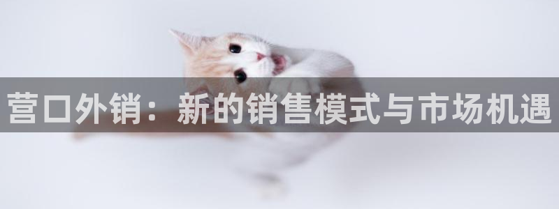 登录新宝gg游戏