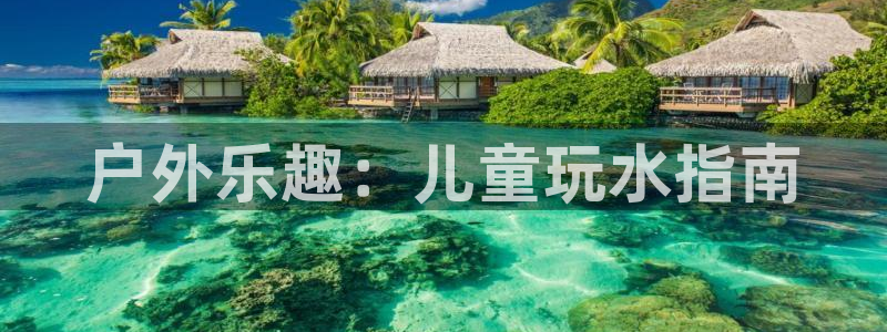 新宝gg返点1956是多少