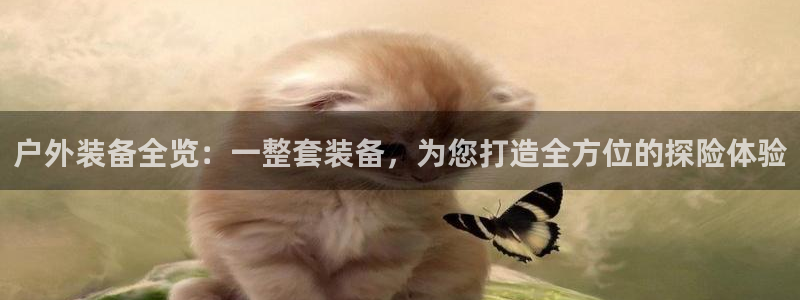 新宝gg游戏平台