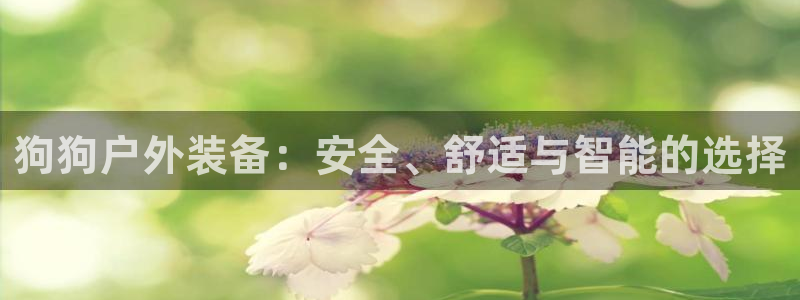 新宝gg刷流水