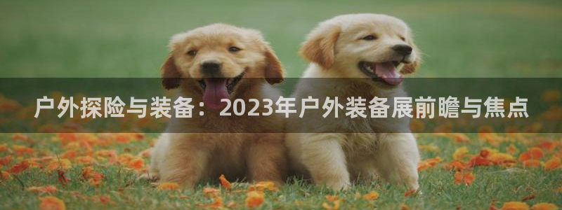 新宝gg总代理