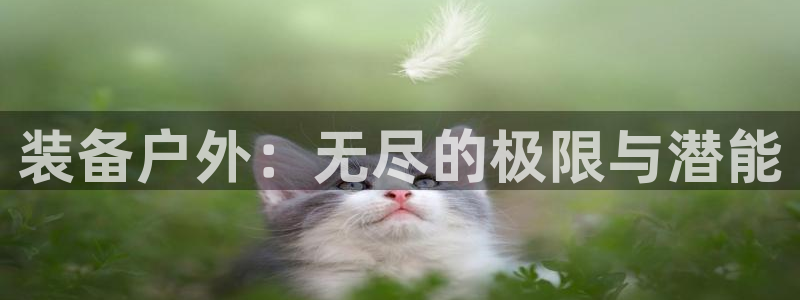 新宝gg代理登录