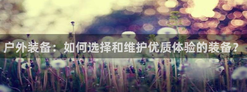 新宝gg游戏平台