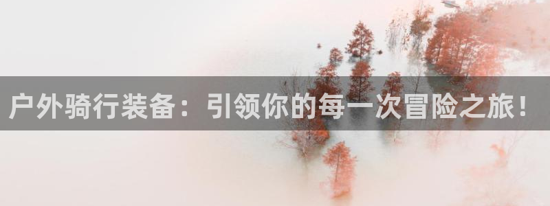 新宝gg游戏登录