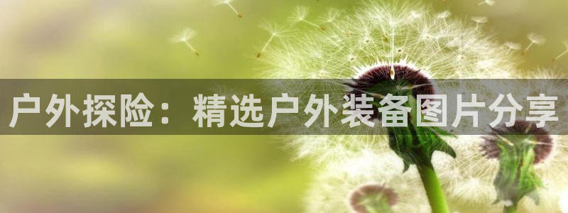 新宝gg注册新账号