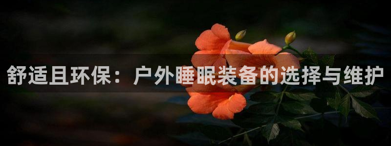 新宝gg招商-299136