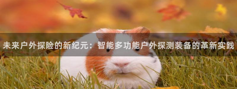 新宝gg创造奇迹