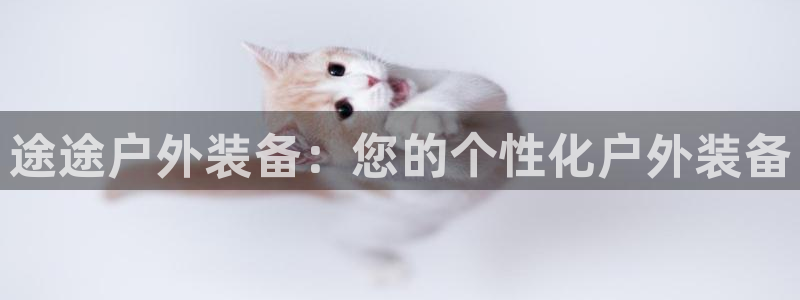 新宝gg注册jhjinde