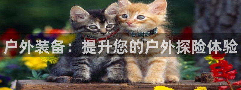 新宝gg娱乐平台