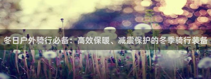 新宝gg金砖彩票