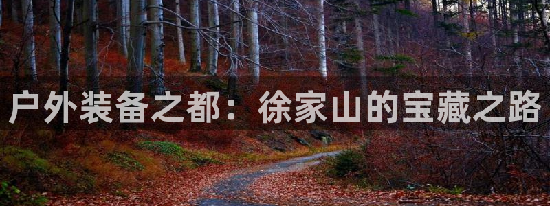 新宝GG无法充值