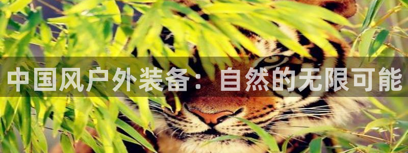 新宝gg平台下载安装