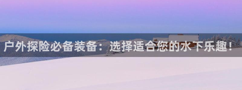 新宝GG53339咨询新宝GG