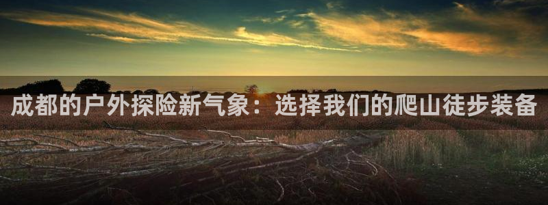 新宝gg龙虎规则