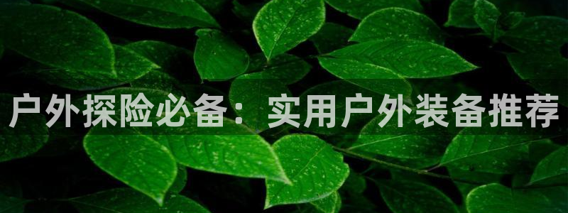 新宝gg 登录页面