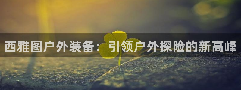 新宝gg龙虎规则