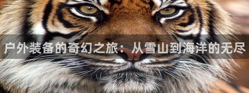 创造奇迹 新宝gg