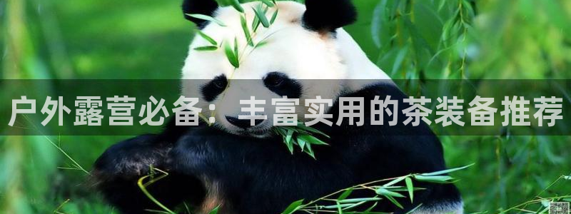 新宝gg登录平台