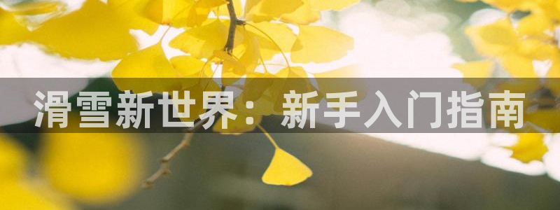 新宝gg娱乐上皇巢网