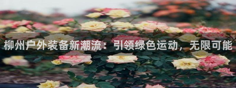 新宝GG链接