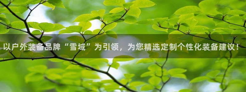 新宝gg违法