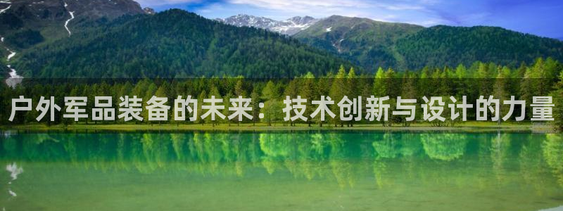 新宝 gg 登录
