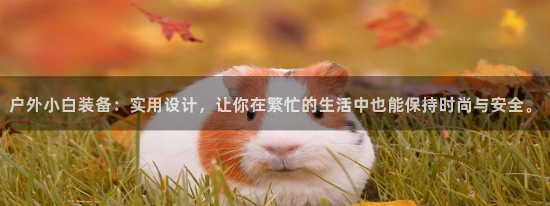 新宝注册gg平台