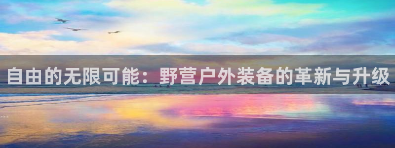 新宝GG玩家