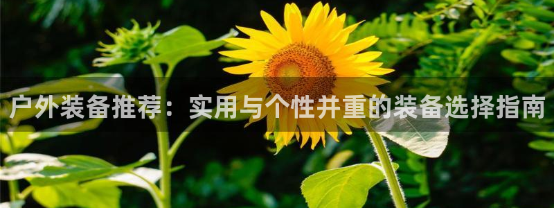 新宝gg娱乐官网