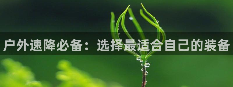 新宝GG冰冰