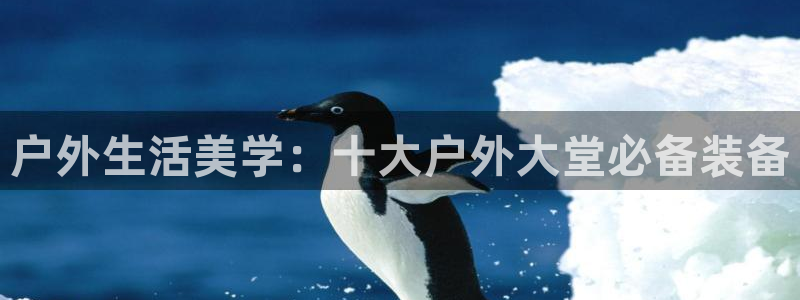 新宝gg找回账号