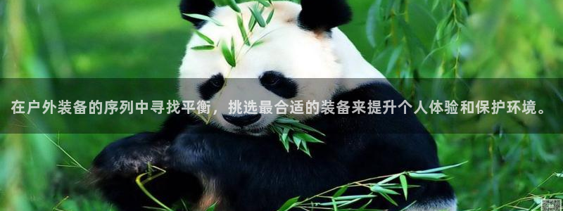 新宝gg软件下载
