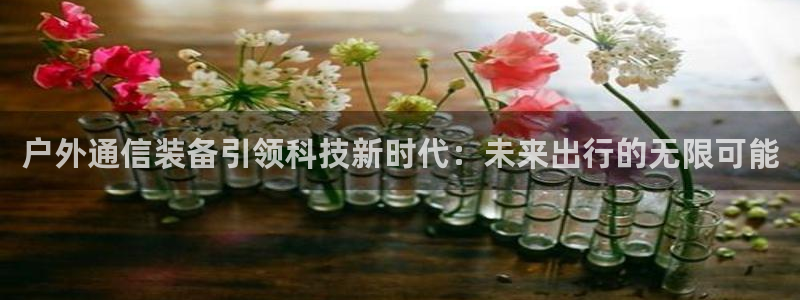 新宝GG苹果版