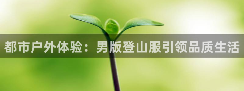 新宝gg创造奇迹下载