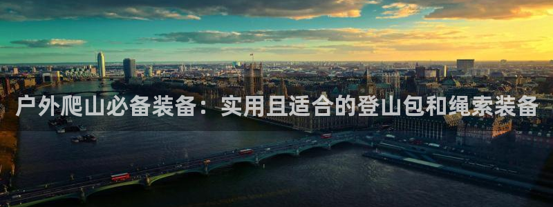 新宝gg挂机软件下载